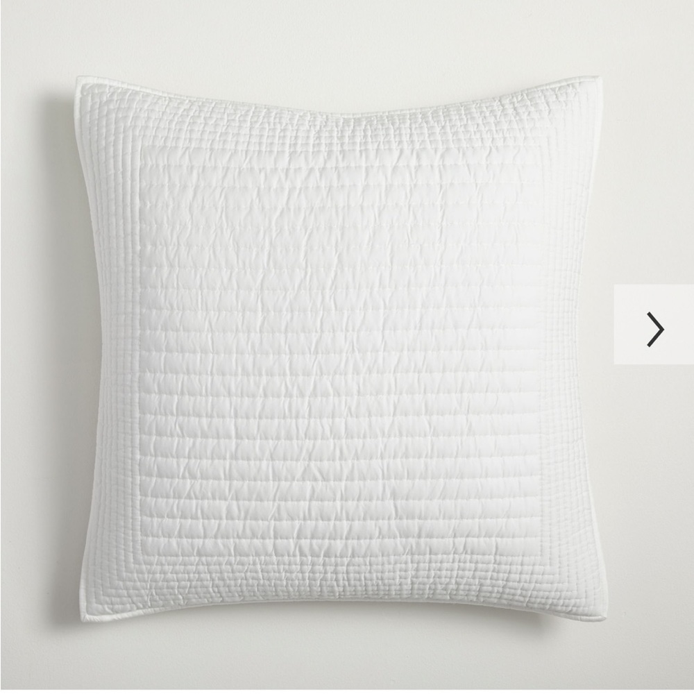 WEST ELM tencel euro shams {NWT} - set of 2